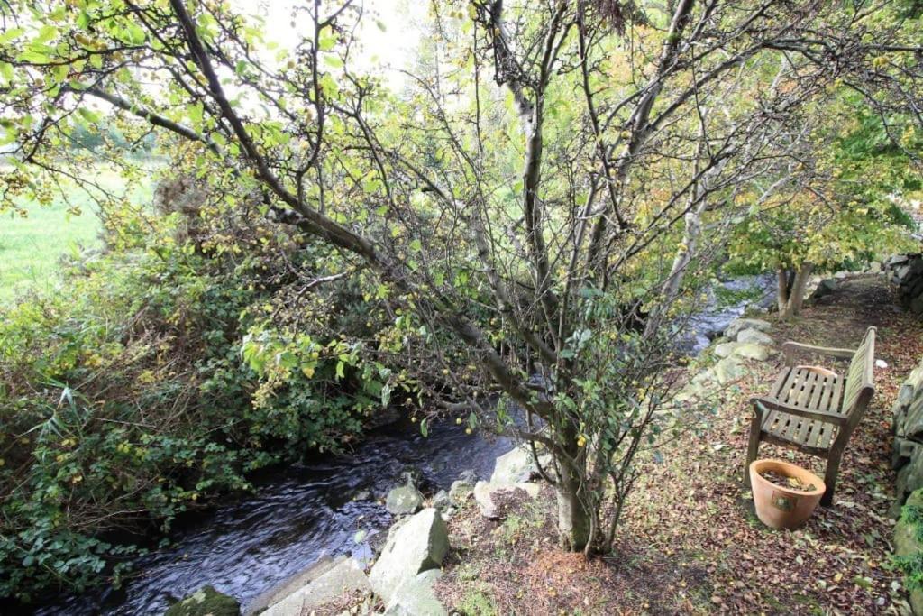 Riverside Cottage At Logwood Mill Ballyclare 外观 照片