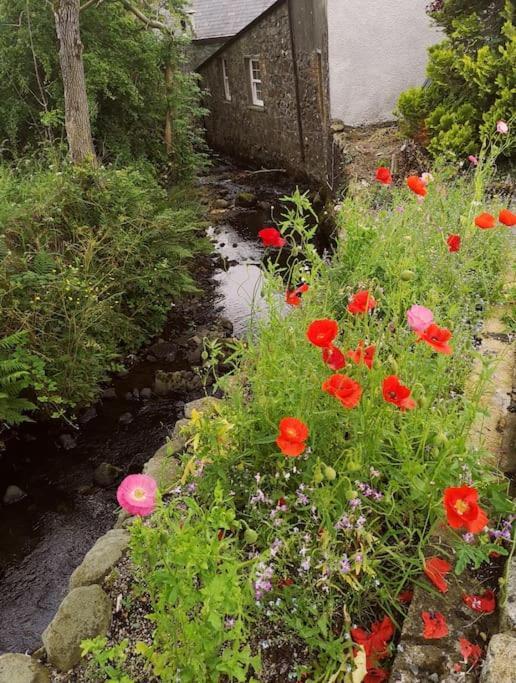 Riverside Cottage At Logwood Mill Ballyclare 外观 照片
