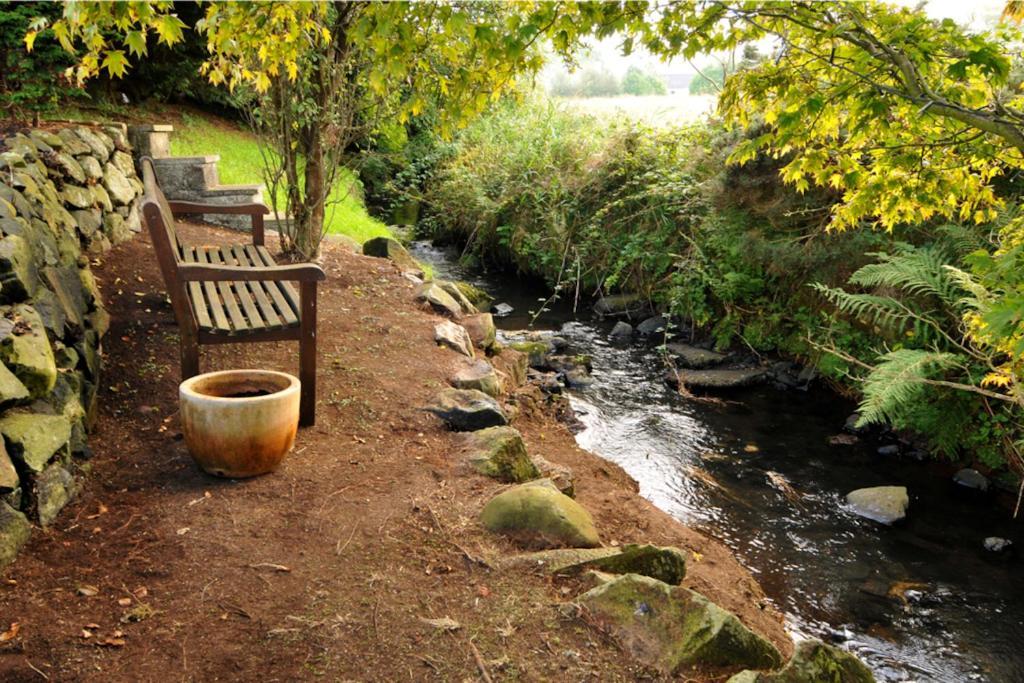 Riverside Cottage At Logwood Mill Ballyclare 外观 照片