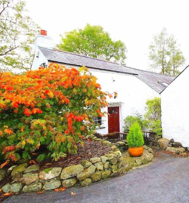 Riverside Cottage At Logwood Mill Ballyclare 外观 照片