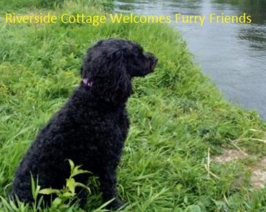 Riverside Cottage At Logwood Mill Ballyclare 外观 照片