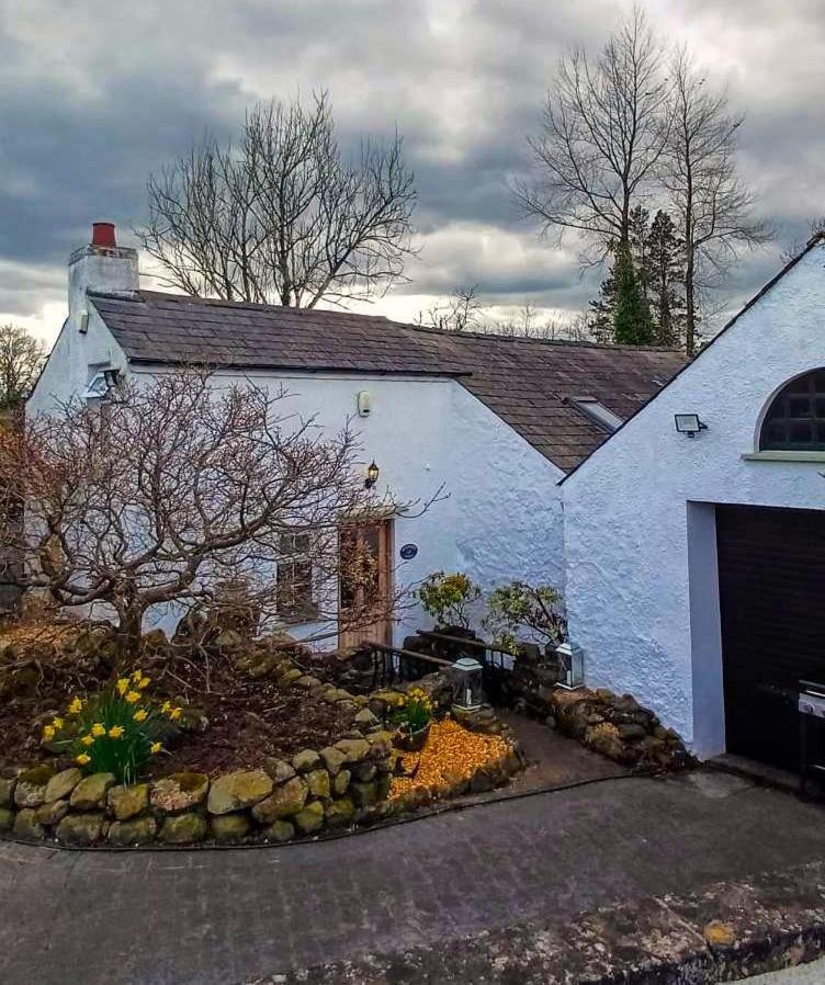 Riverside Cottage At Logwood Mill Ballyclare 外观 照片